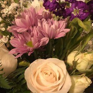 Meet your Posher, Vicky